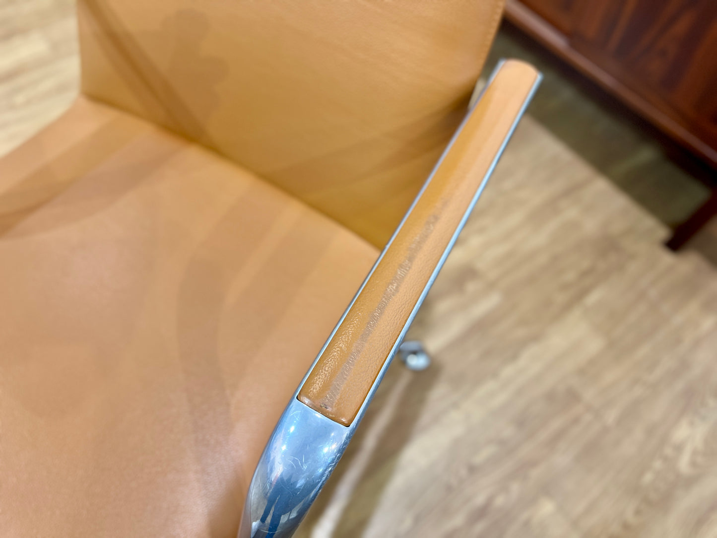 Brunner, Fina Leather Swivel Chair