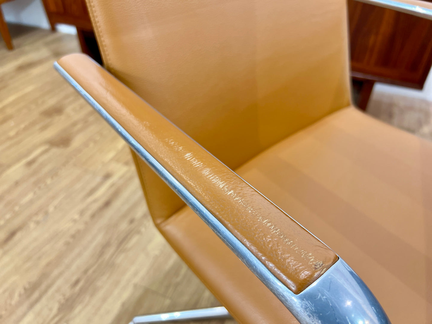 Brunner, Fina Leather Swivel Chair