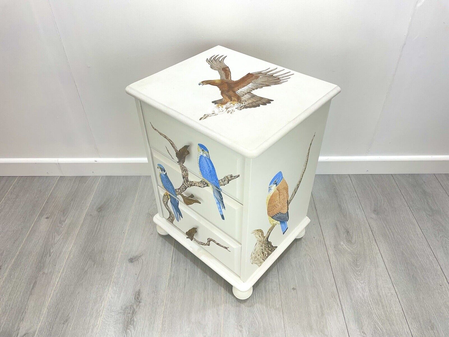 A Hand Painter Bedside Chest of Drawers With Birds of Prey, By Aileen Carash