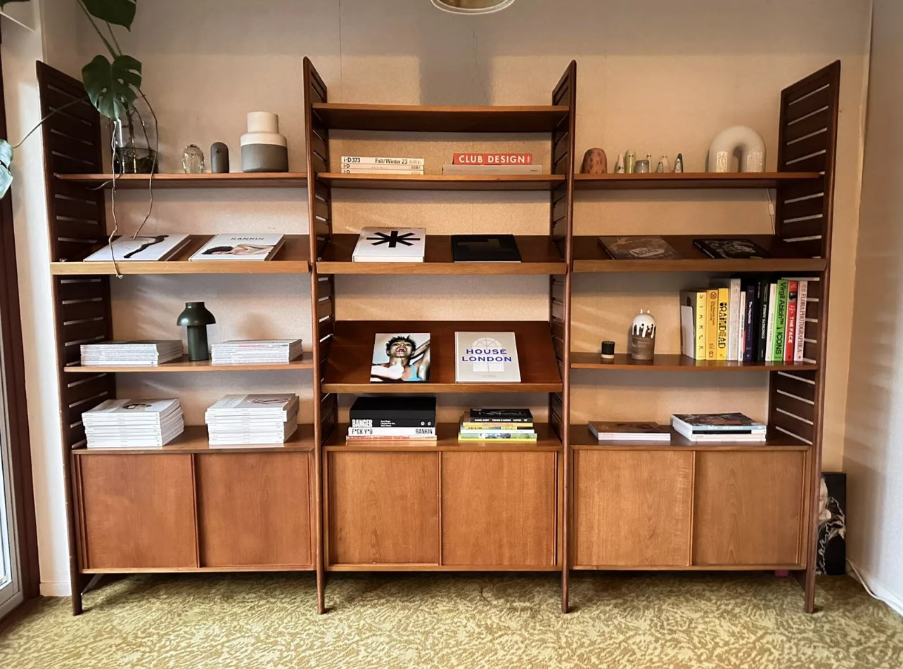 Vintage Ladderax shelving