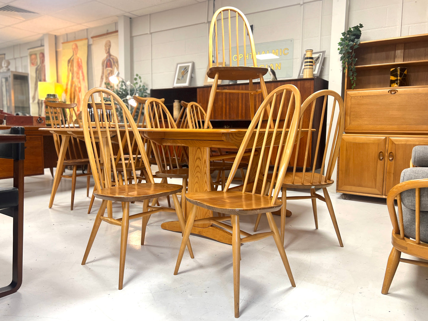Set of 6, Ercol 365 Quaker Dining Chairs