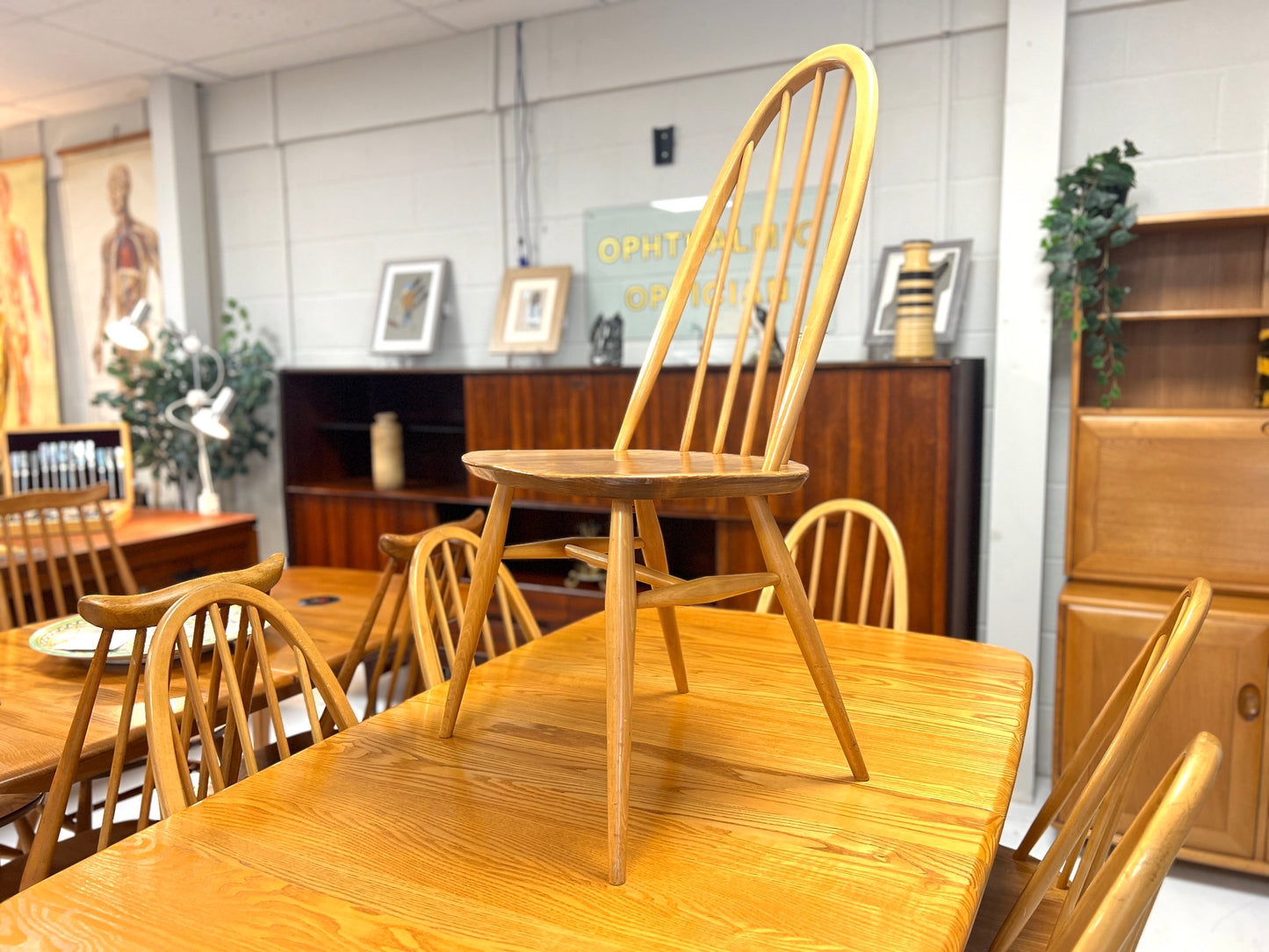 Set of 6, Ercol 365 Quaker Dining Chairs