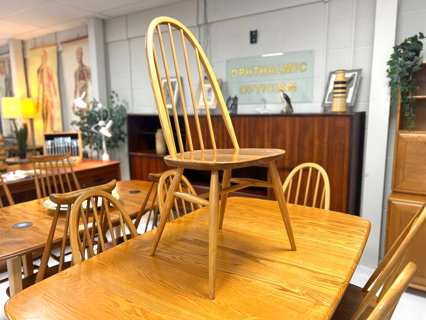 Set of 6, Ercol 365 Quaker Dining Chairs