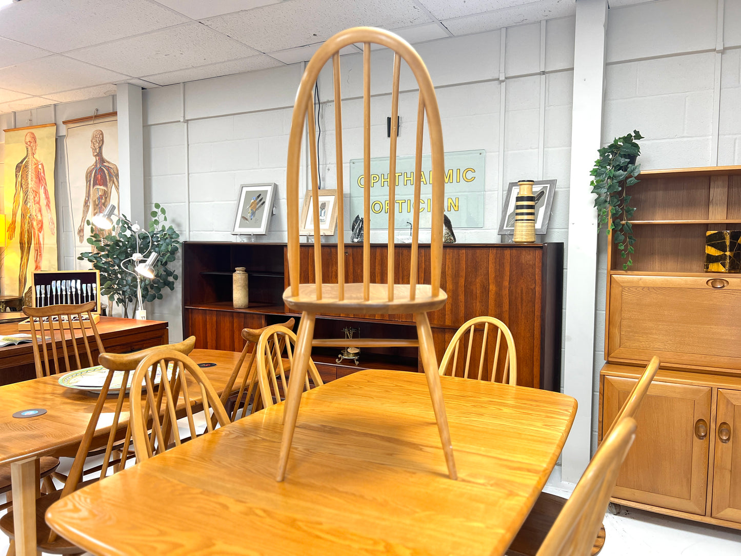 Set of 6, Ercol 365 Quaker Dining Chairs