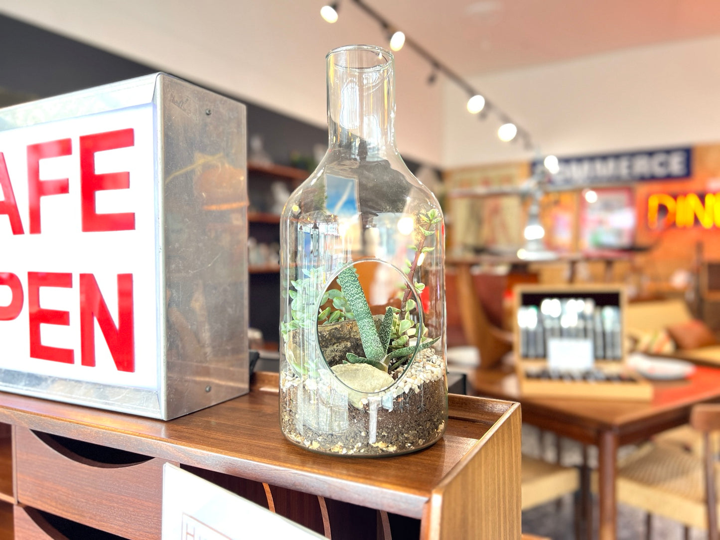 Inspired By, Open Glass Bottle Terrarium