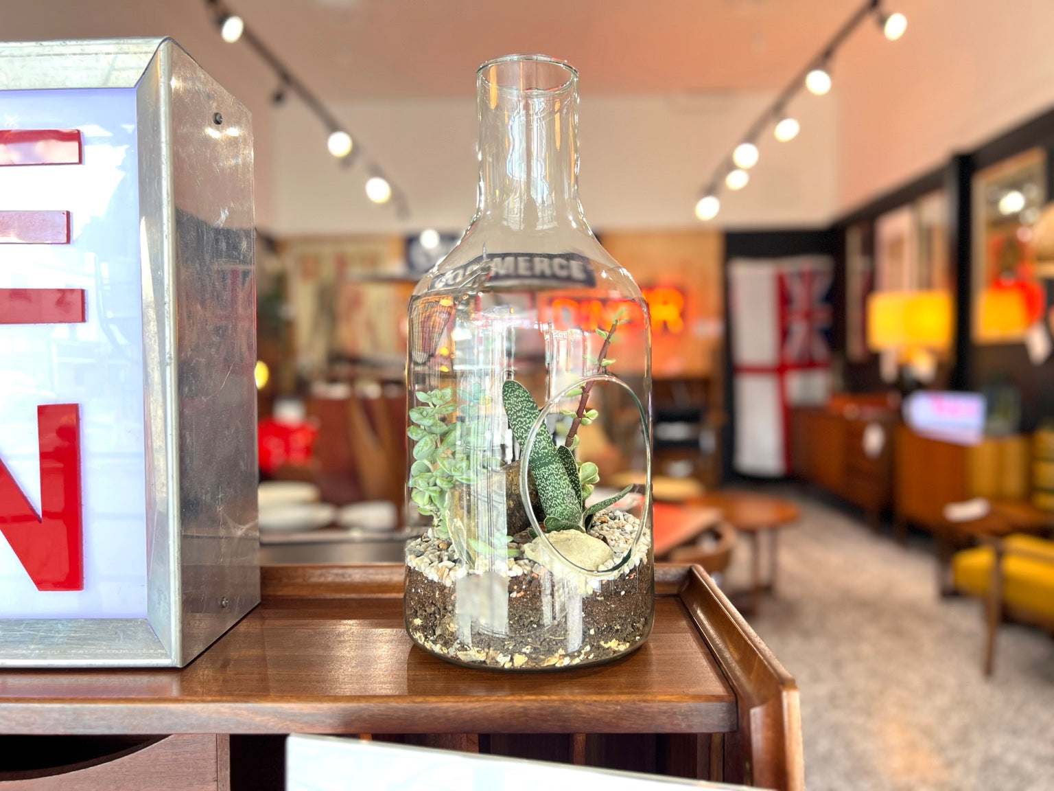 Inspired By, Open Glass Bottle Terrarium