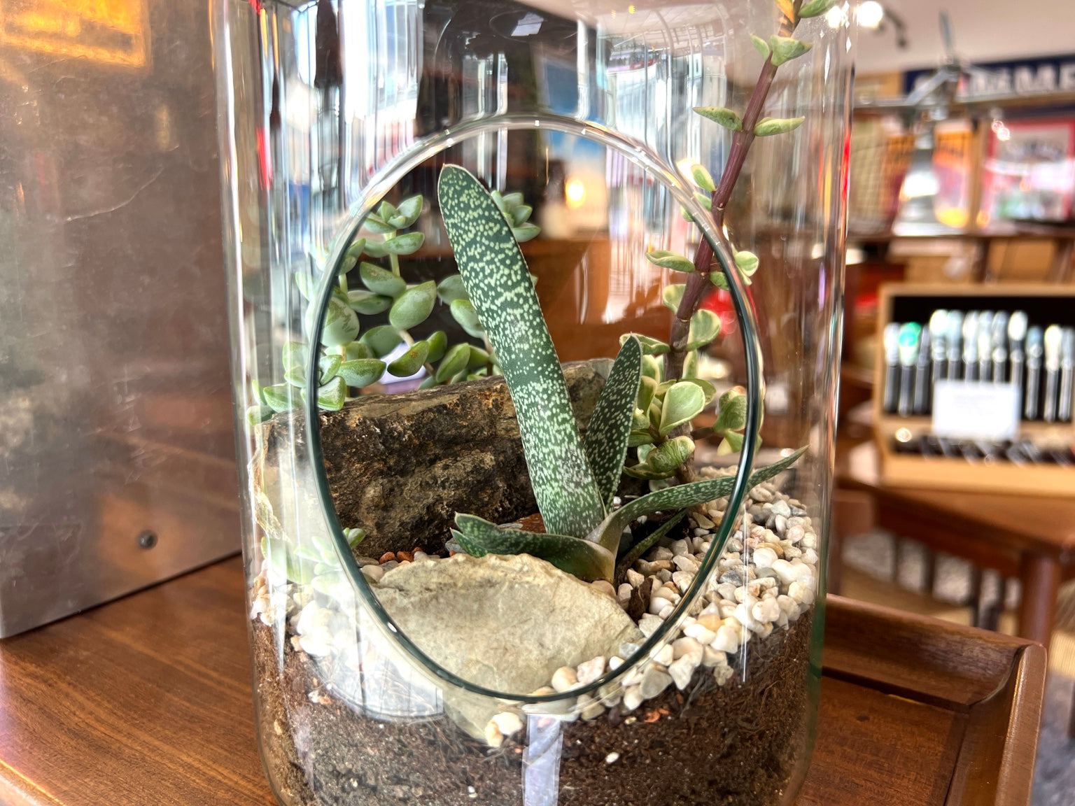 Inspired By, Open Glass Bottle Terrarium