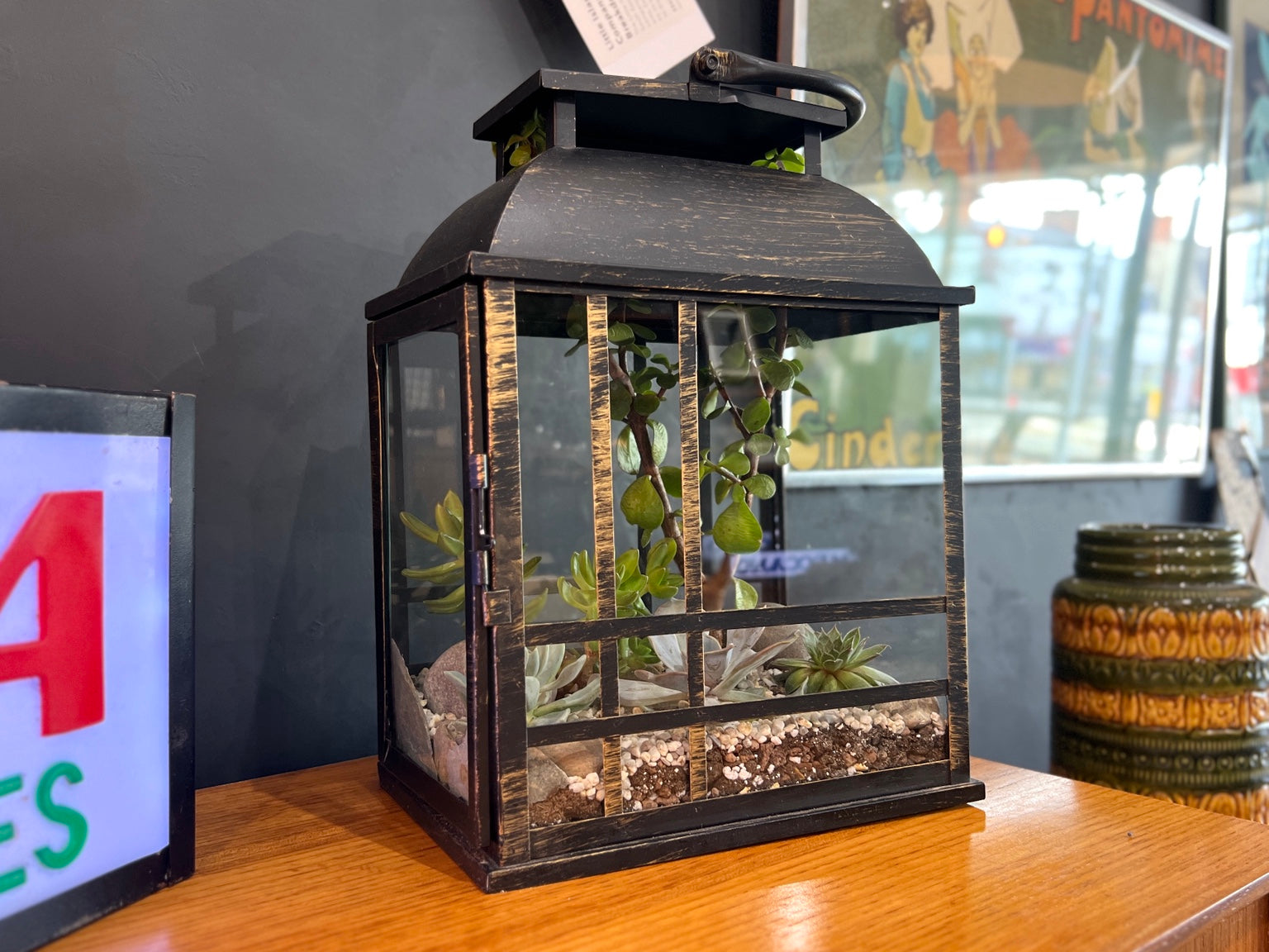 Inspired By, Open Lantern Succulent Terrarium