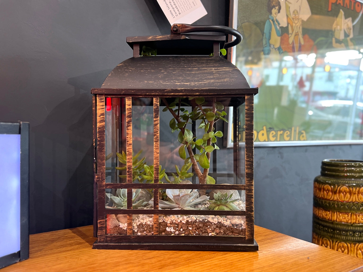 Inspired By, Open Lantern Succulent Terrarium