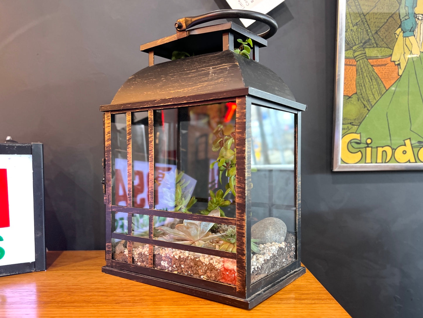 Inspired By, Open Lantern Succulent Terrarium