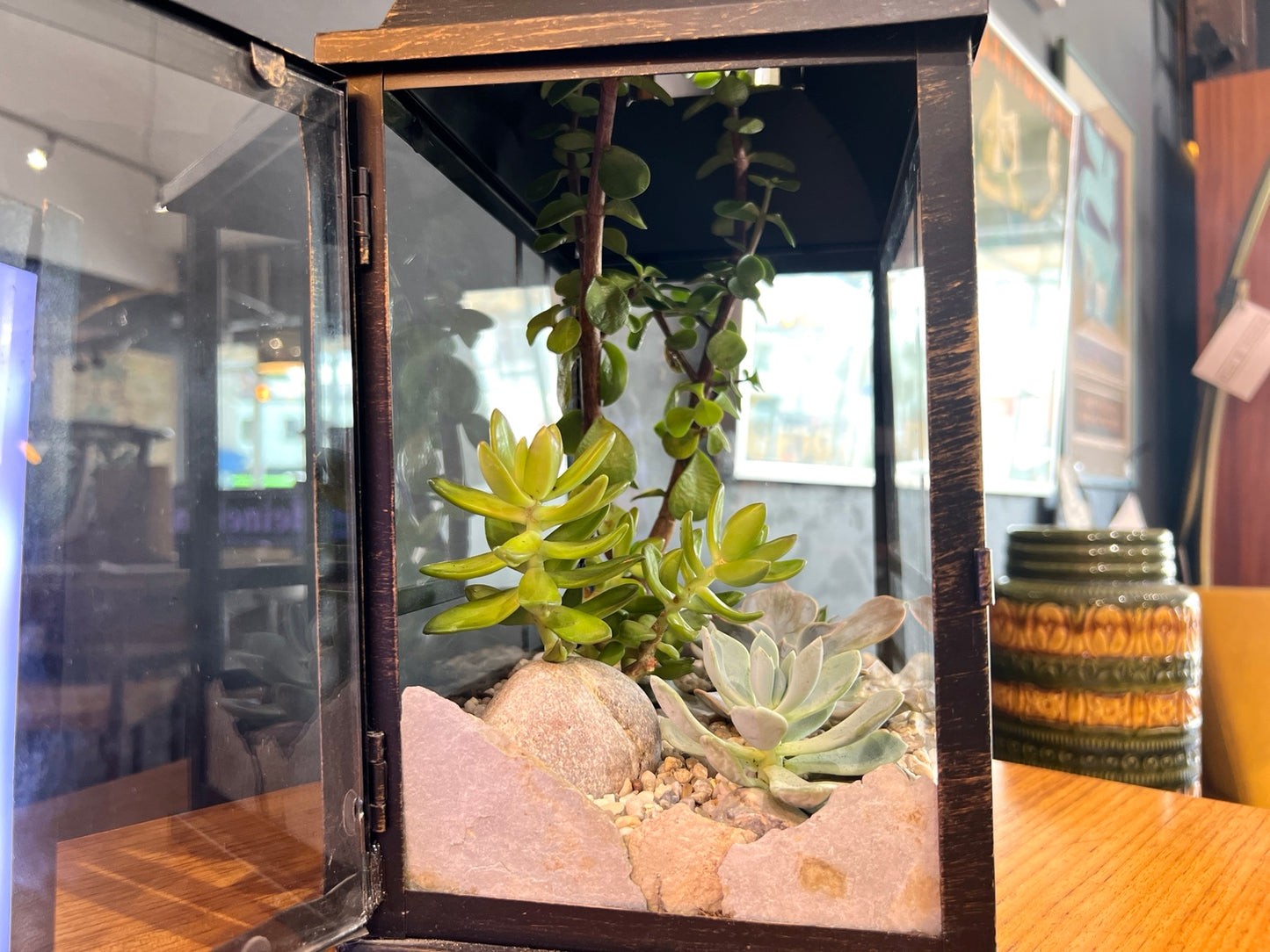 Inspired By, Open Lantern Succulent Terrarium